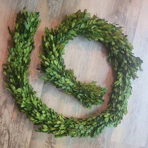 6ft Preserved Boxwood Garland